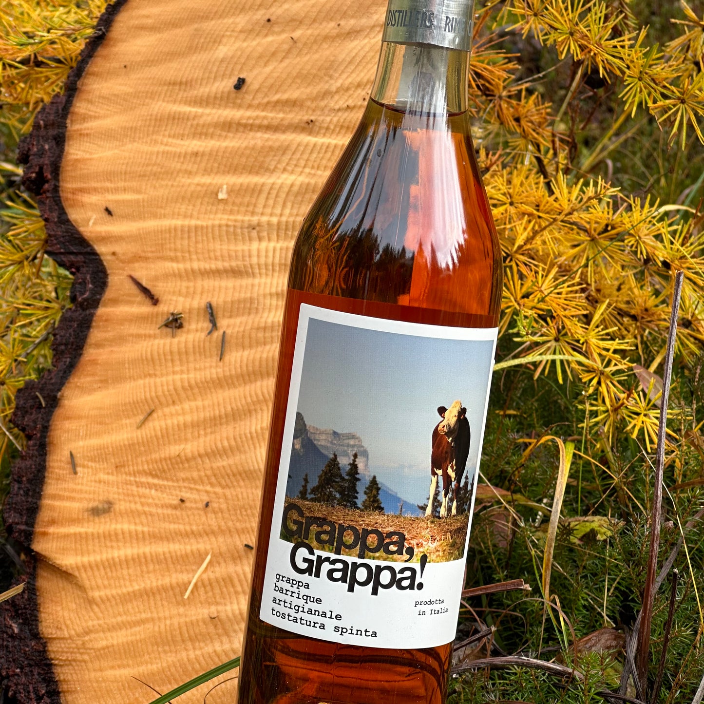 Grappa, Grappa! Barrique